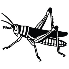 Detailed Black and White Grasshopper Illustration – Insect Art Design