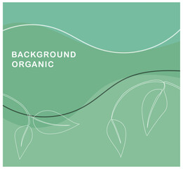 Clean and calming green background featuring flowing organic shapes and elegant white lined leaves. A minimalist and fresh look with a natural touch.