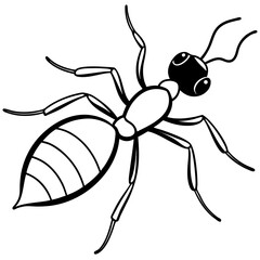 Ant line art  vector