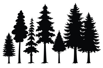 Fototapeta premium Silhouettes of evergreen trees in a forest setting