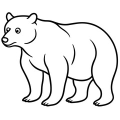 Bear line art vector