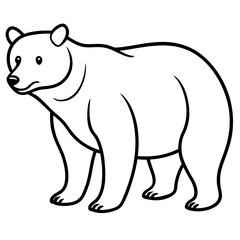 Bear line art vector