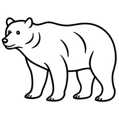 Bear line art vector