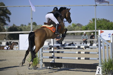 Equestrian Rider and Horse Clearing a Jump in a Showjumping Competition