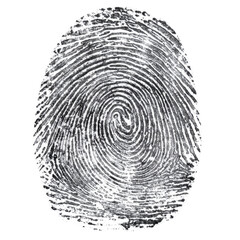 Detailed Fingerprint Illustration for Forensic and Identification Purposes on transparent background