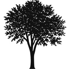 Incredibly Detailed Tree Silhouette