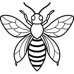 Bee line art  vector