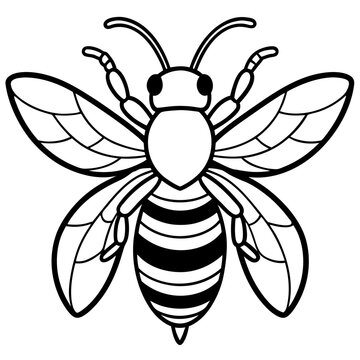 recommend clip art: Bee line art  vector