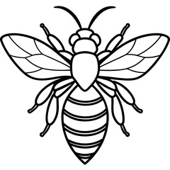 Bee line art  vector