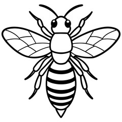 Bee line art  vector