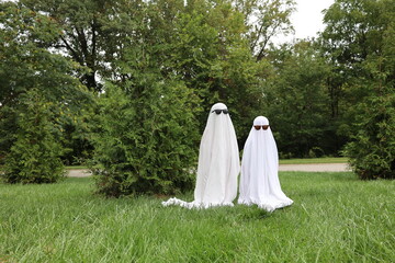 Two cool ghosts
