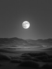 Moonlight illuminates the desert at night with the full moon high in the sky.