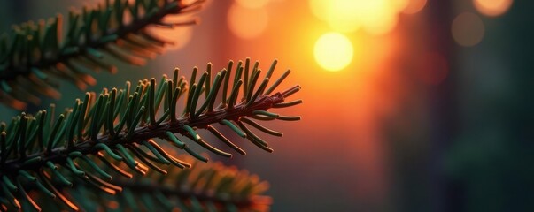 Warm sunrise paints pine needles with vibrant hues, creating ethereal glow, photography, ray