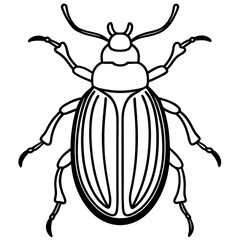 Beetle line art vector