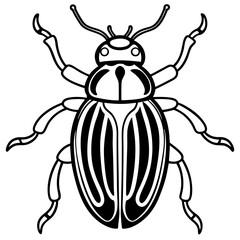 Beetle line art vector