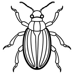 Beetle line art vector