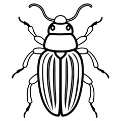 Beetle line art vector