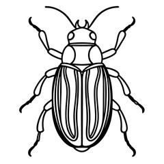 Beetle line art vector