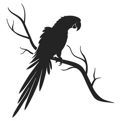 Silhouette parrot on white background
