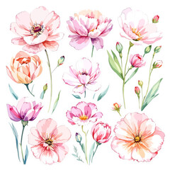 Obraz premium A Charming Garden Where Every Blossom Tells Its Own Story