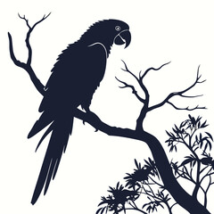 Silhouette parrot on white background