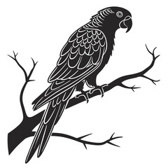 Silhouette parrot on white background