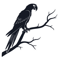 Silhouette parrot on white background