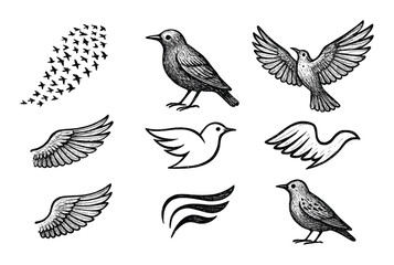 Starling Wings Icons