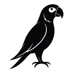 Silhouette parrot on white background