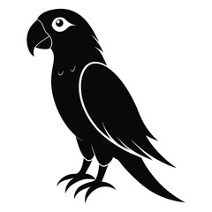 Silhouette parrot on white background