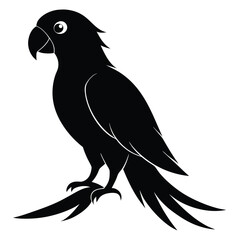 Silhouette parrot on white background