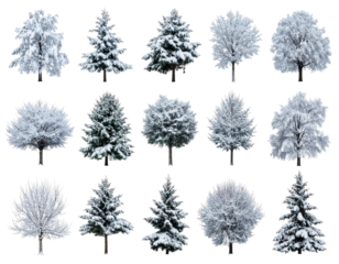 Collection of Snow-Covered Trees in Various Shapes and Sizes, Ideal for Winter Landscapes and Seasonal Decor on transparent background