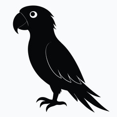 Fototapeta premium Silhouette parrot on white background