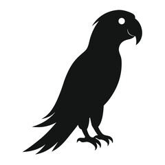 Silhouette parrot on white background