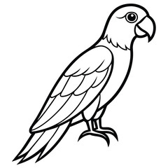 Silhouette parrot on white background
