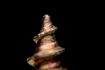 Macro Views of a Gold Toned Screw