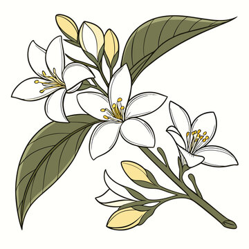 Jui flower2-01.eps