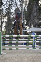 Equestrian Rider and Horse Clearing a Jump in a Showjumping Competition