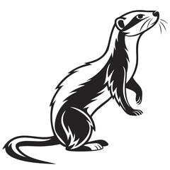 Illustration of a black and white ferret standing on its hind legs looking up on transparent background