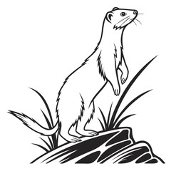 A black and white drawing of a weasel standing on a rock with grass around it on transparent background