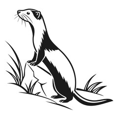 Fototapeta premium Black and white illustration of a ferret standing on a rock in the grass art on transparent background