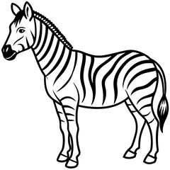 Obraz premium Zebra line art vector