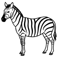 Obraz premium Zebra line art vector