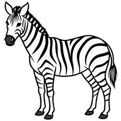 Zebra  line art vector