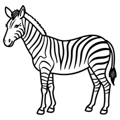 Zebra  line art vector