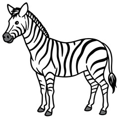 Zebra  line art vector