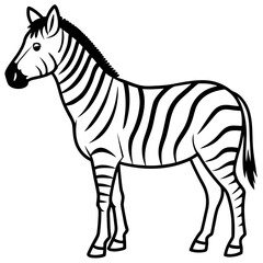 Zebra  line art vector