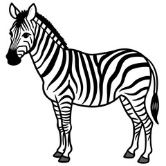 Zebra  line art vector
