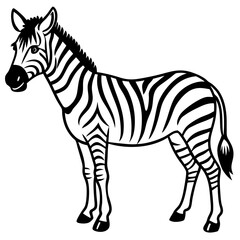 Zebra  line art vector