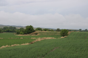 green field in the countryside